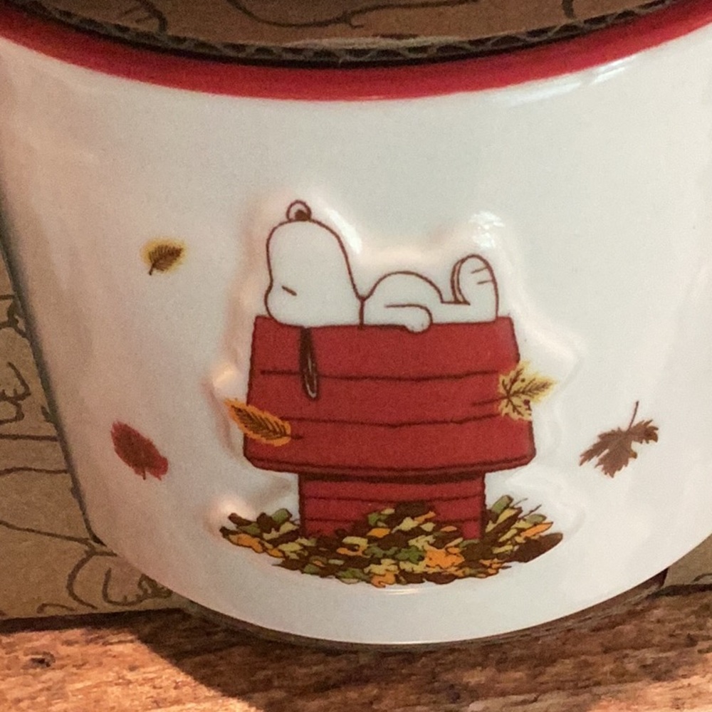 Peanuts x Rae Dunn Fall Ramekin Set - Picture 8 of 12